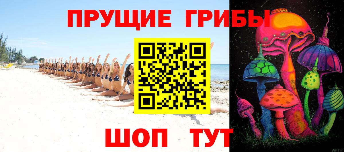 Краснодар  Псилоцибиновые грибы Psilocybe  что такое наркотик  Вход с VPN 